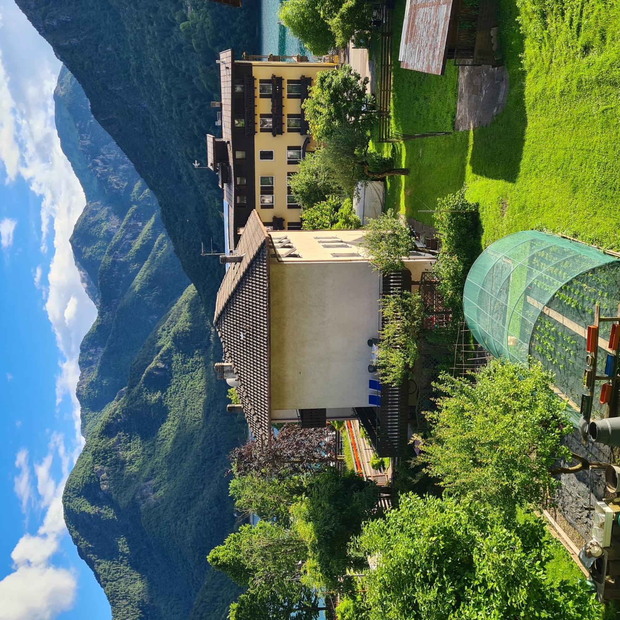 Апартаменты Bioledro Casa Lena Меццолаго Экстерьер фото